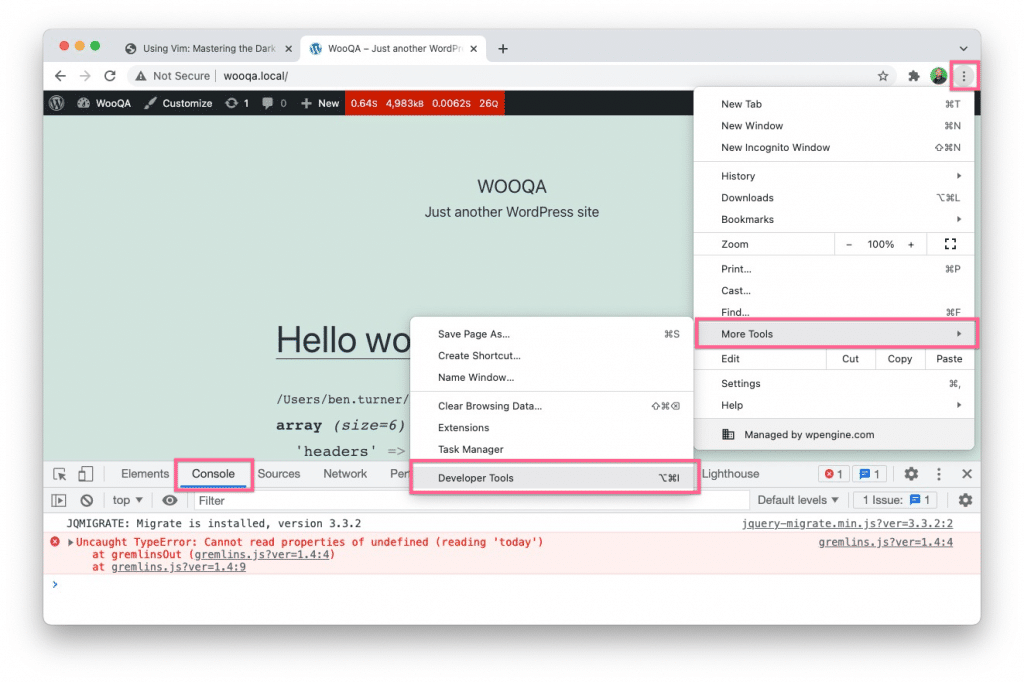 Screenshot of opening the Browser Consle to investigate javascript errors.