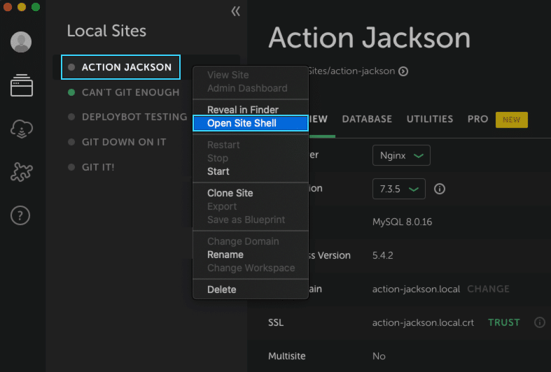 open site shell in Local